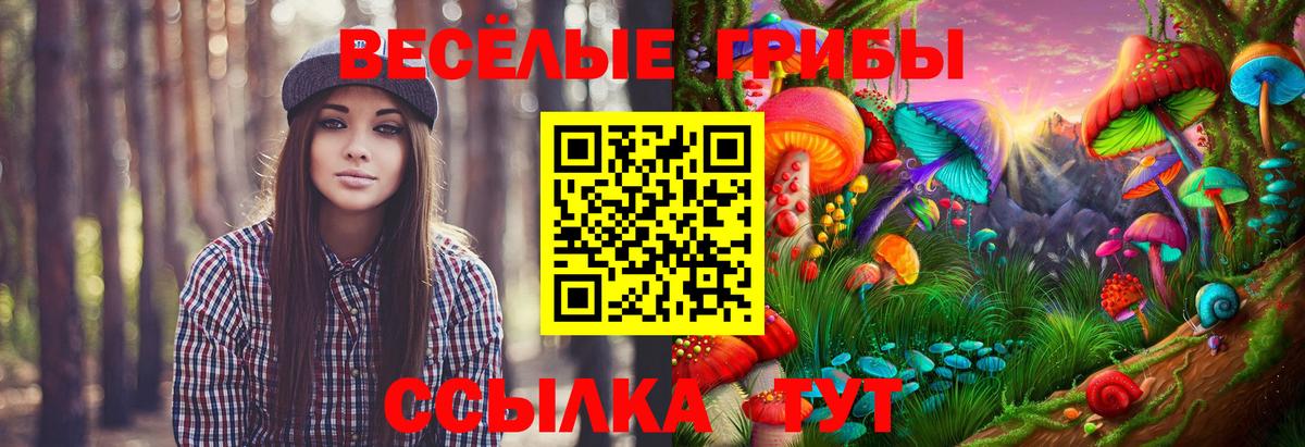 Галлюциногенные грибы Psilocybine cubensis  Вход с VPN  Пенза  Псилоцибиновые грибы прущие грибы 