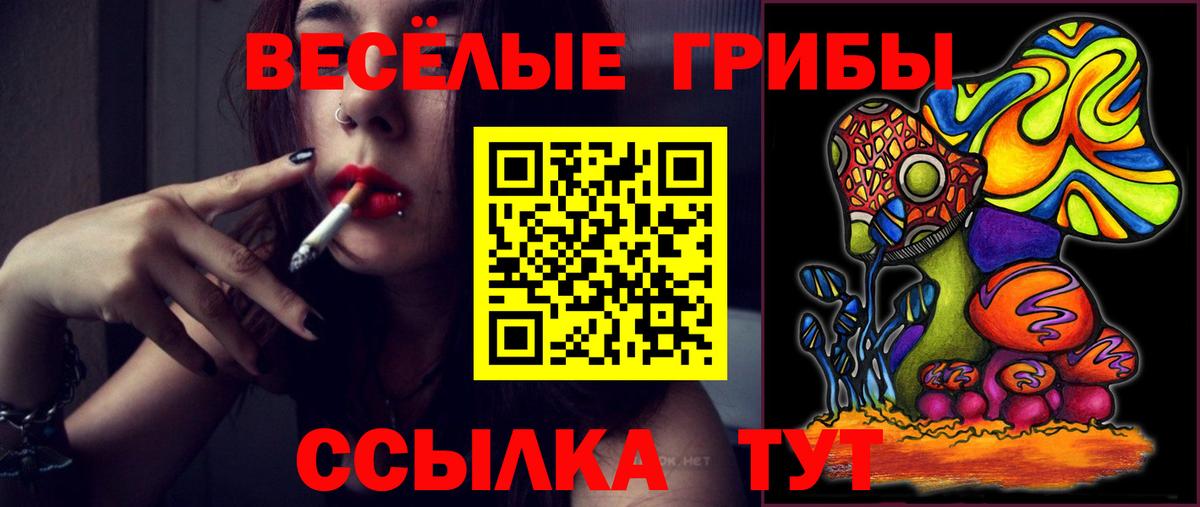 Псилоцибиновые грибы прущие грибы Пенза